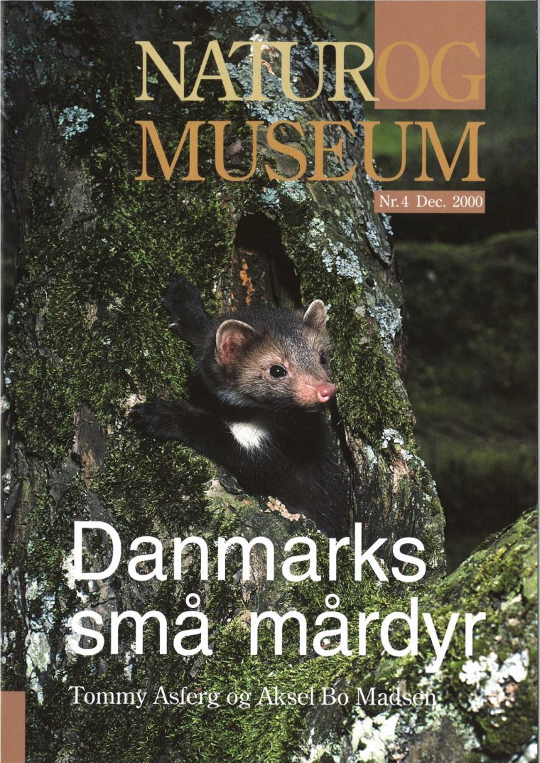 Danmarks små mårdyr